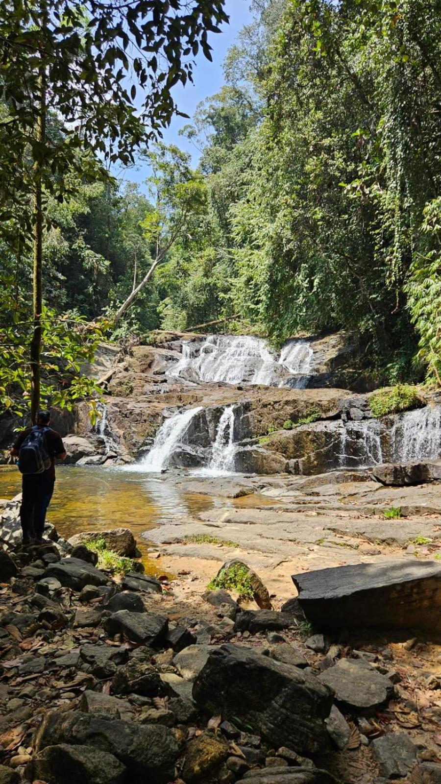 Rainforest River Bay Deniyaya Ngoại thất bức ảnh