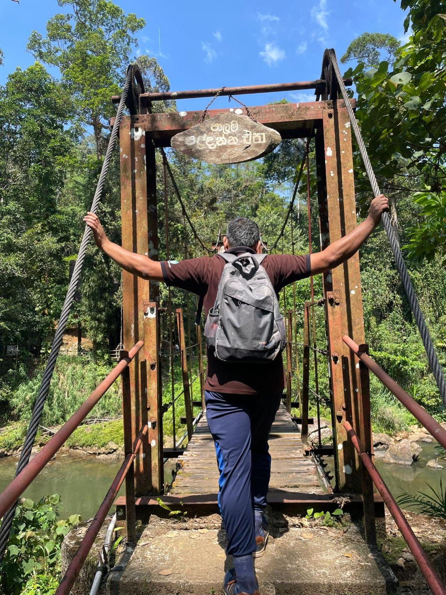 Rainforest River Bay Deniyaya Ngoại thất bức ảnh